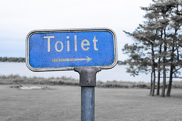 Image showing Grunge toilet sign in blue color