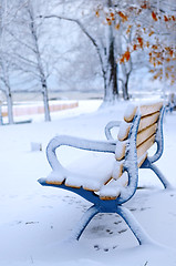 Image showing Winter bench