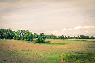 Image showing Landscape in the country with trees