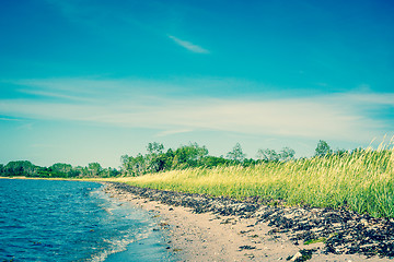 Image showing Beach with green fields and blue sky