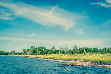 Image showing Beach with green grass and blue water