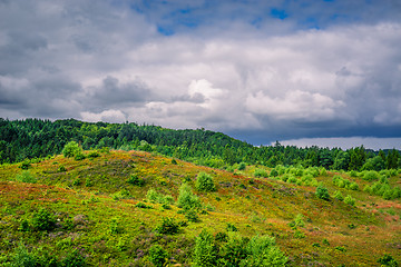 Image showing Landscape from Denmark with cloudy weather