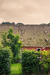 Image showing Hedge at an old house