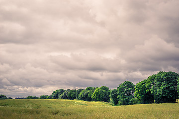 Image showing Field landscape with cloudy weater