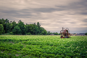 Image showing Old water pump on a potato field