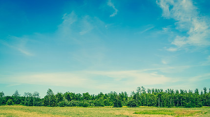 Image showing Landscape with green trees and blue sky in the summertime