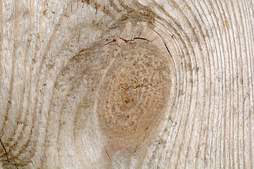 Image showing Wooden texture, close up