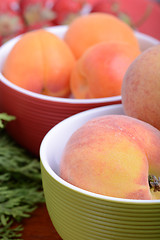 Image showing Nectarines, strawberries, peach and apricots with green branch
