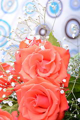 Image showing A close up macro shot of a red rose