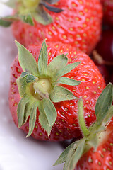 Image showing Close up of fresh strawberry - Food frame background