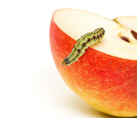 Image showing Green Caterpillar Creeps on Red Apple