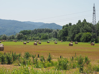 Image showing Hay bale