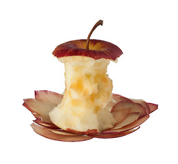 Image showing Apple core and peels