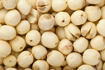 Image showing Lotus seeds