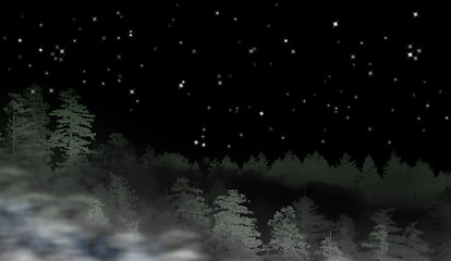 Image showing Landscape of misty forest at night