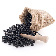 Image showing Black beans bag