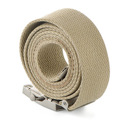 Image showing Beige belt