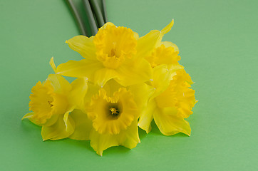 Image showing Jonquil flowers