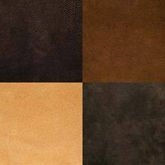 Image showing Set of brown leather samples