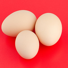 Image showing Three brown eggs