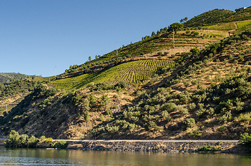 Image showing Douro Valley