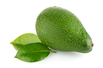 Image showing Avocados on white 