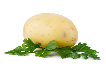 Image showing New potato and green parsley