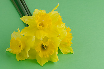 Image showing Jonquil flowers