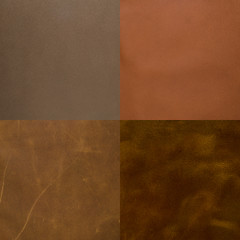 Image showing Set of brown leather samples