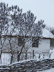 Image showing winter in Ukraine