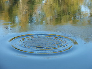 Image showing ring on the water