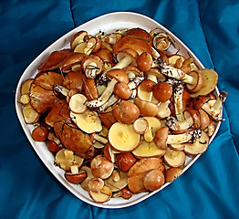 Image showing mushrooms on the plate