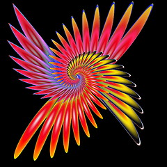 Image showing Spiral fenix