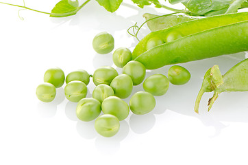 Image showing Fresh green pea pod