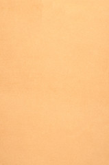 Image showing Beige leather