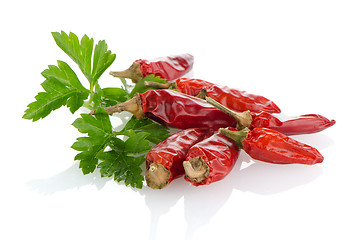 Image showing Red chili or chilli pepper and parsley leaves