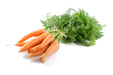 Image showing Carrots