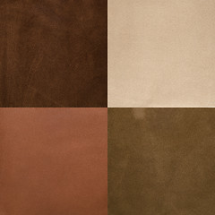 Image showing Set of brown leather samples