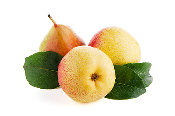 Image showing Three ripe pears