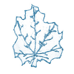 Image showing Christmas decorative blue leaf