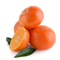 Image showing Tangerines