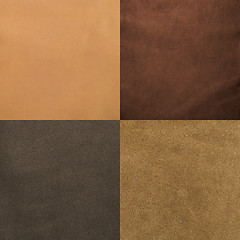 Image showing Set of brown leather samples