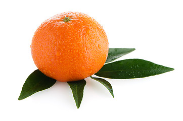 Image showing Fresh orange mandarin