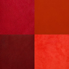 Image showing Set of red leather samples