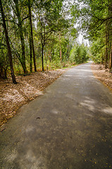 Image showing Road in autumn wood