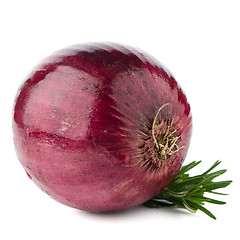 Image showing Red onion