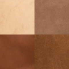 Image showing Set of brown leather samples