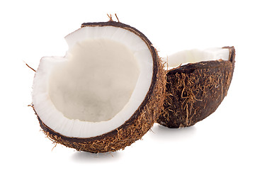 Image showing Coconut