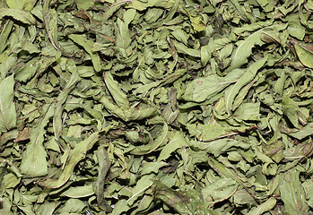 Image showing Dried Mint