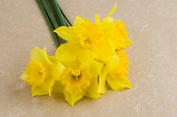 Image showing Jonquil flowers